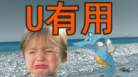 【PokeMMO】抓的U不要扔,做成3V2U,隔壁家孩子都馋哭了!